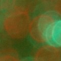 Bokeh-449